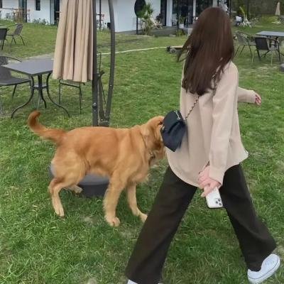 处女塔